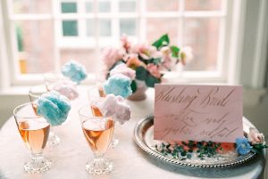 Pantone Rose Quartz and Serenity Cotton Candy Editorial By Kerry Jeanne Photography