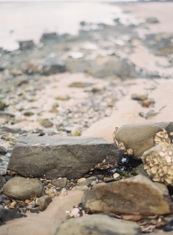 Organic Seaside Wedding Inspiration by Byron Loves Fawn Photography